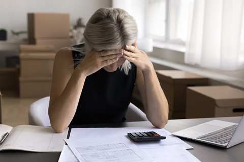 �� ����: ����������� ����������� ���� � 2026 ����: ��������� �����������, �����: admin